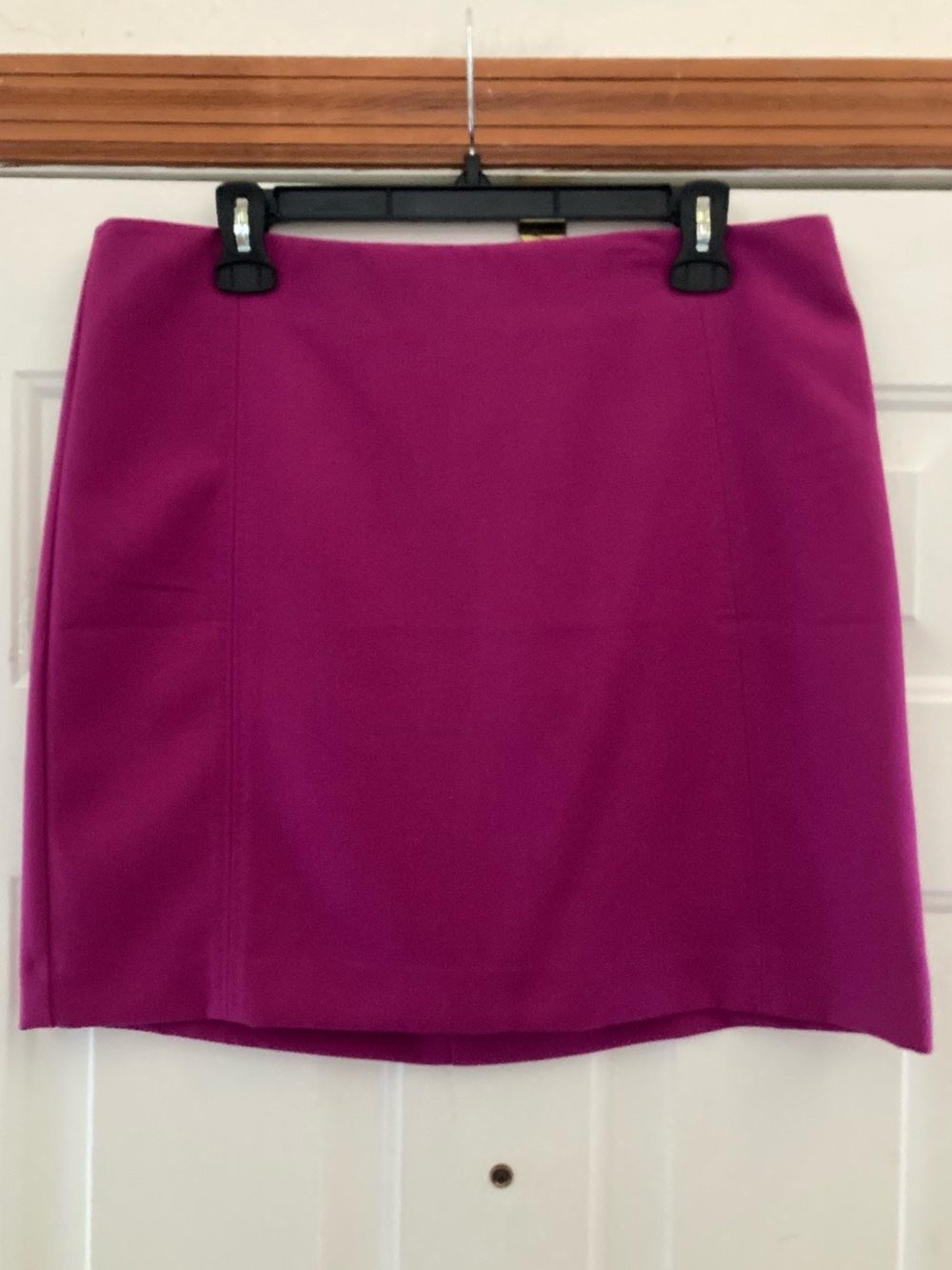 Ann Taylor LOFT Skirt